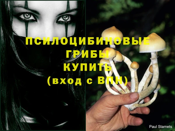 эйфоретик Алексин