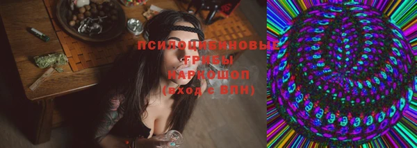 спайс Алзамай