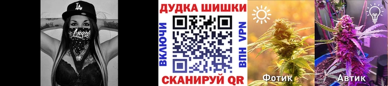 Каннабис индика  Миасс 